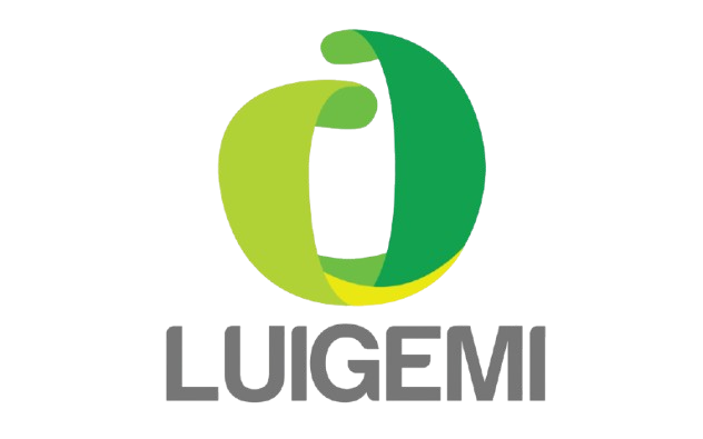Grupo Luigemi